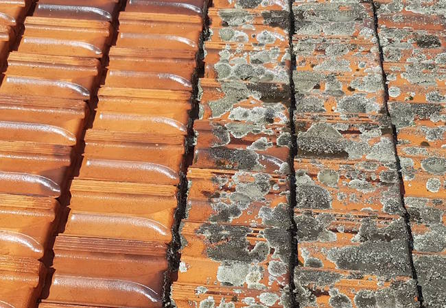 Close-up of a roof showing clean terracotta tiles on the left and weathered, moss-covered tiles on the right.