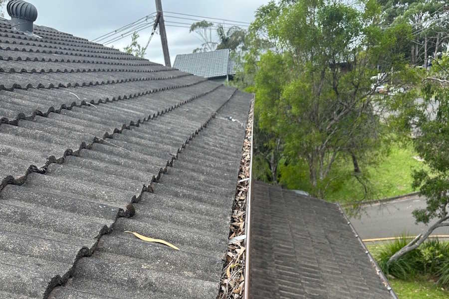 Close-up view of a roof gutter filled with dried leaves on a tiled roof next to green trees and a street.