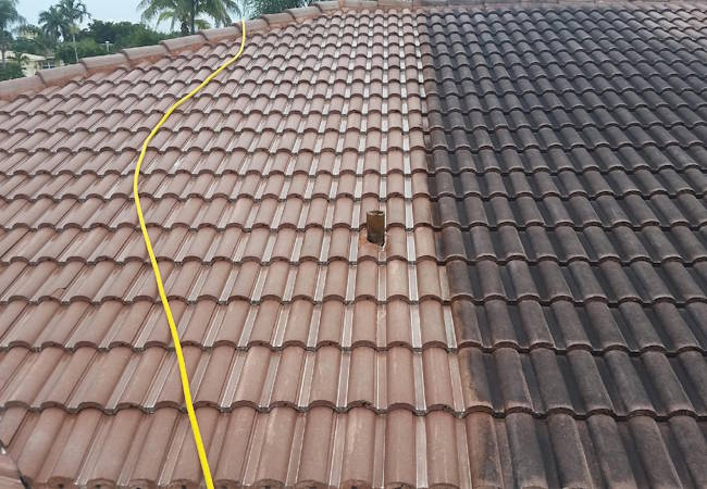 Half-cleaned tile roof showing a clear contrast between the cleaned lighter tiles and the darker dirty tiles, with a yellow hose lying on the roof.